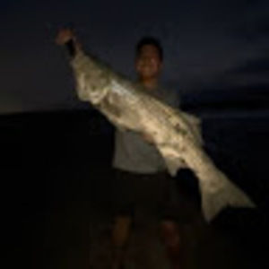 Meet your Posher, Jalhelm